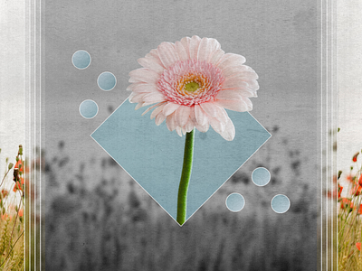 Digital Art: Bloom II