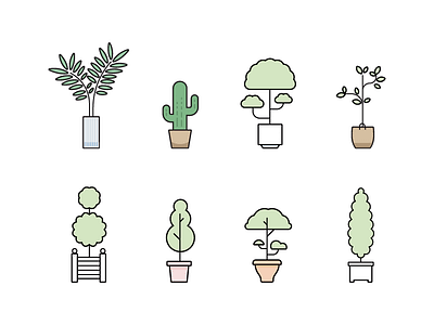 Indoor Plants