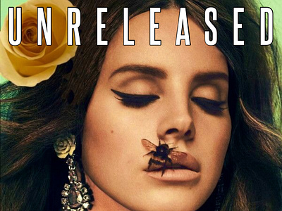 Lana Del Rey Unreleased Cover #2 app branding design graphic design illustration logo typography