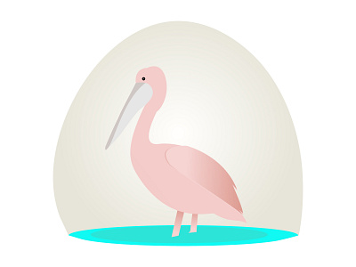 Social Distancing Pelican adobe illustrator birds coronavirus creativecloud debut debutshot flatdesign flatillustration illustration pelicans socialdistancing