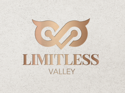 Logo for Limitless Valley branding design graphic design illustration instagram logo photoshop vector