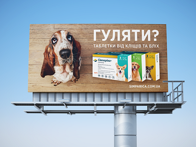 Simparica campaign advertising brand branding design dog graphic design grass green photography photosession pill