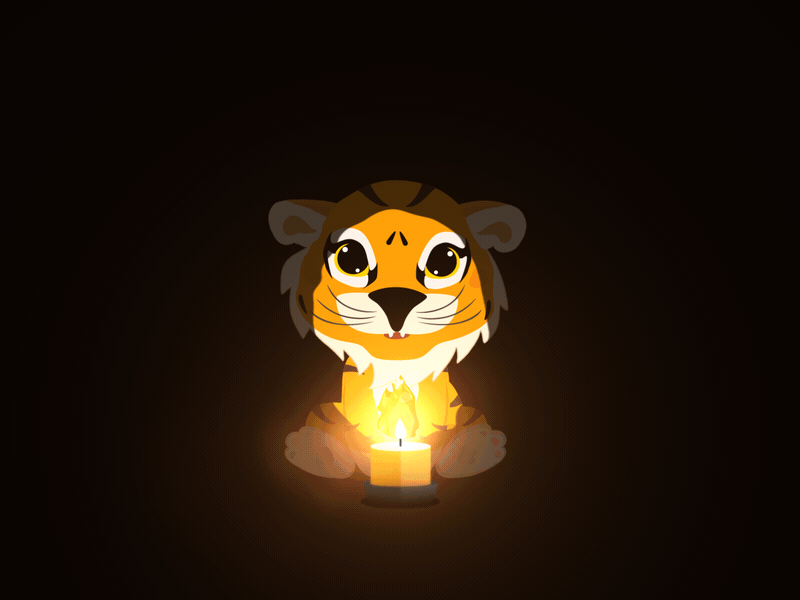 Tiger Debuts 2d animation adorable after effects animal characters flat gif illustration macan motion graphics tiger vector art
