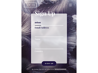 001 Sign Up challenge dailyui