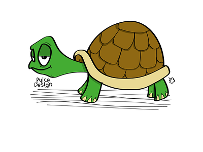 Turtle animal collection color design earthday illustration pulcedesign turtle vector