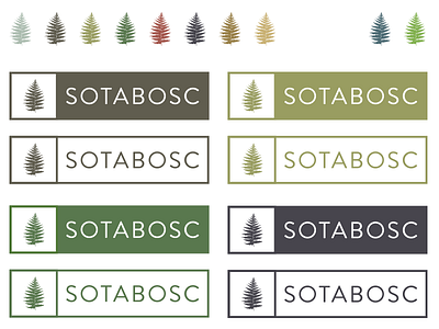 Sotabosc colour scheme (forest)