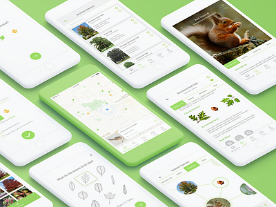 Biodiversity App mobile app