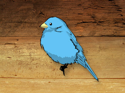 Twitter Bird bird blue icon illustration twitter