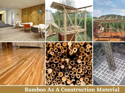 Bamboo as a Building Material eco friendly building material grass family