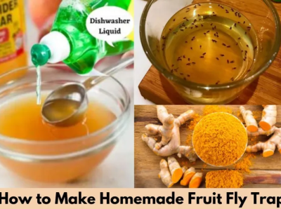 How to make Fruit Fly Trap apple cider vinegar dishwashing soap