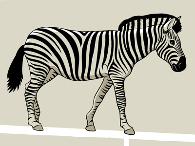Zebra wip zebra