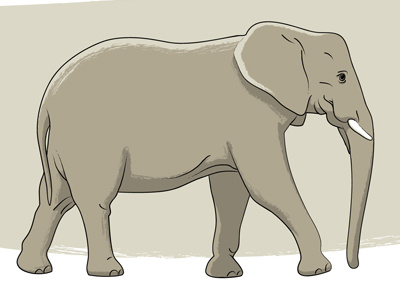 Elephant elephant wip