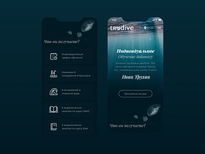 Trudive landing page