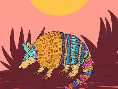 Armadillo Country