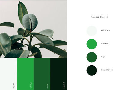 Colour Palette for Blackmore Company branding design graphic design