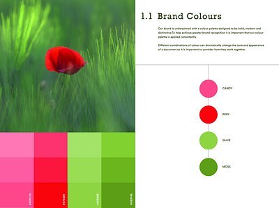 Candy Colour Palette branding business cards color palette design graphic design illustration logo vector