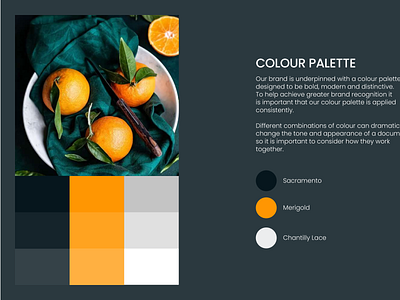 Colour Palette branding business cards color palette design graphic design logo vector