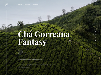 Tea Manufacturer Website Concept