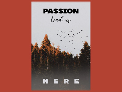 PASSION graphic design poster poster design typography typography poster