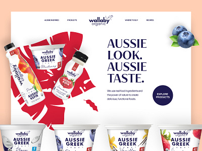 Wallaby Website Design Concept
