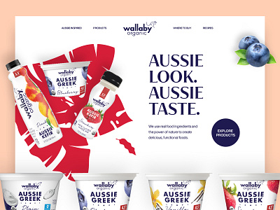 Wallaby Website Design Concept agency design design studio digital marketing ecommerce food and drink healthy food homepage landing page organic food portfolio shop store typography ui ux web web design website yogurt