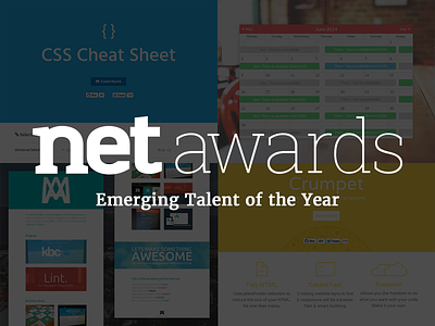 Net Awards - Shortlisted for Emerging Talent of the Year .net award netawards