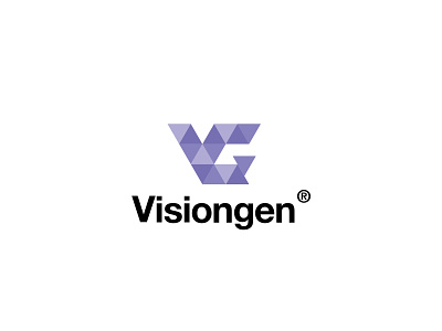 VG - Visiongen abstract logo offset purple shape triangel vision