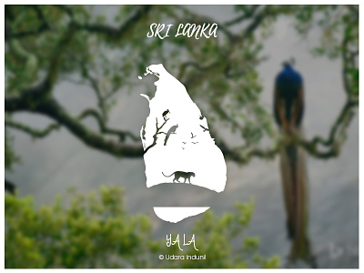 Y A L A - Sri Lanka art concept design flat design illustration lka minimalist sri lanka sri lankan art sri lankan tourism tourism udara indunil udarts vector yala national park