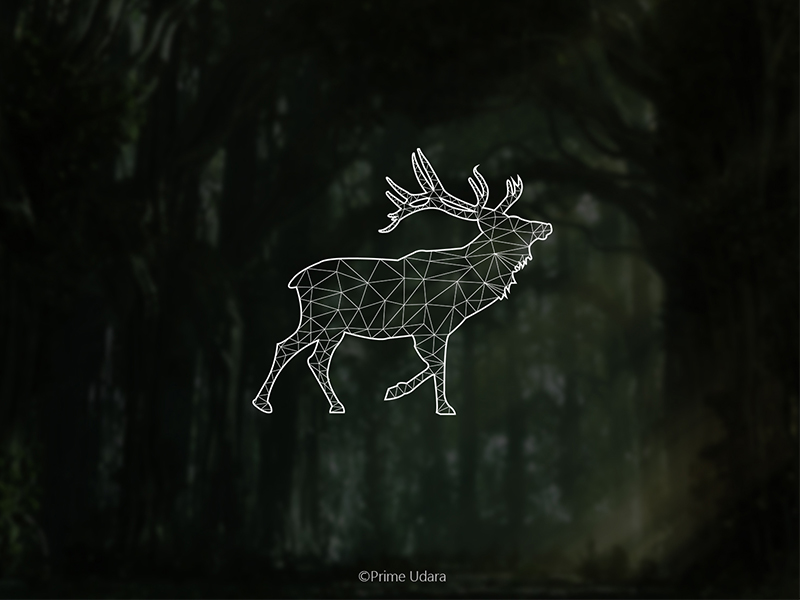 Deer - Geometric Style Design by Udara Jayasanka on Dribbble