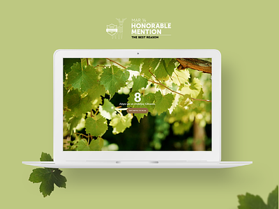 The Best Rreason awarded awwwards brand concept design product design ui ux vintage website wine