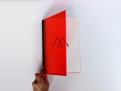 Portfolio 2016 design illustration logotype minimal new plexiglass portfolio