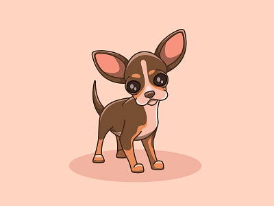 Cute brown chihuahua