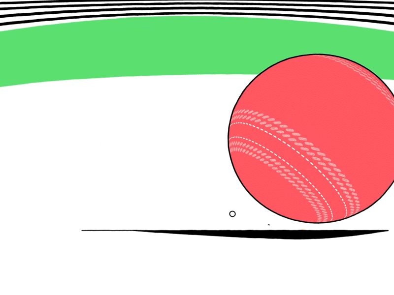 Cricket Australia Animation 2d 3d transitions animation character cricket flat illustration lunamik motion motion graphics sports vector