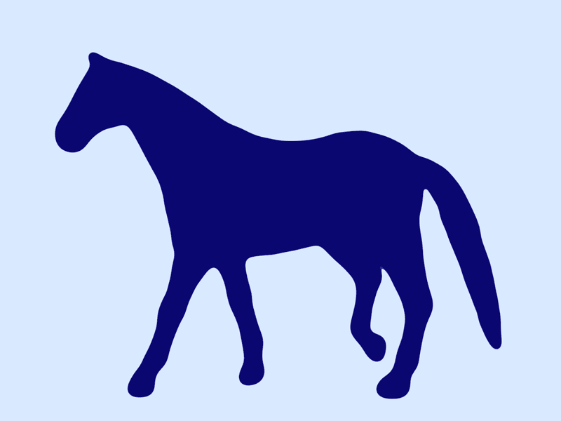 Horse walking animation motion stop stopmotion
