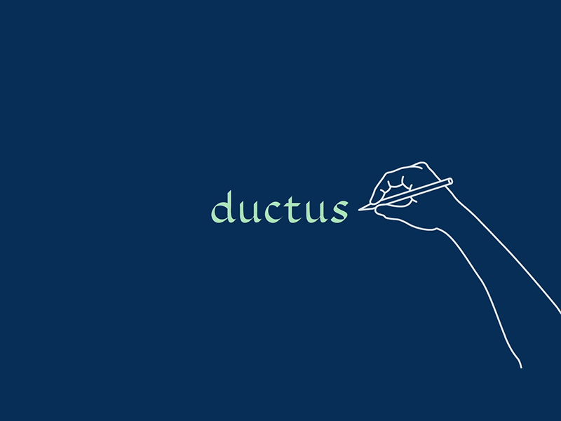 Calligraphy animation for Ductus animated calligraphy logo type typography