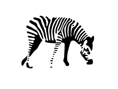 Zebra Black & White Illustration black illustration white zebra