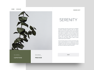 Serenity app benefits clean css3 flat html5 medical minimal ui ux web