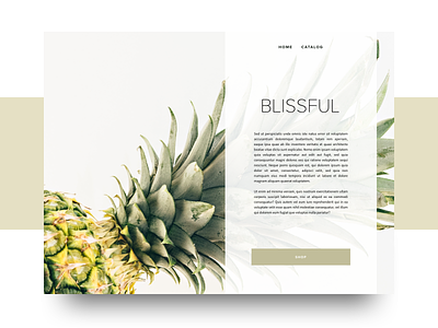 Blissful clean concept flat portfolio redesign ui ux
