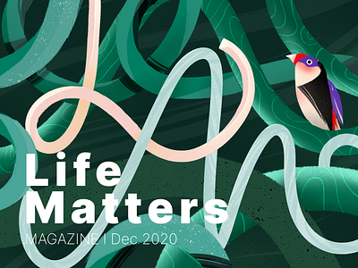 Life Matters | Illustration Practice