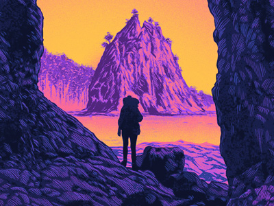 Olympic National Park Detail (variant) - Fifty-Nine Parks fifty-nine parks print series national park olympic poster screen print