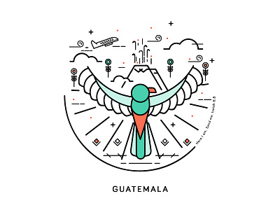 Quetzal bird flowers guatemala illustration lines quetzal travel volcano