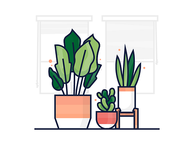 House Plants