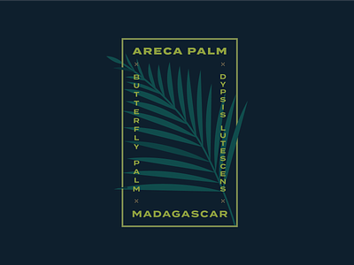 Areca Palm areca palm badge badge design illustration kps3100 logo logo design palm plant plants