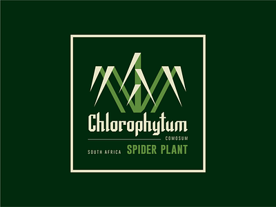 Spider Plant badge badge design chlorophytum illustration kps3100 plant plant illustration plants spider plant