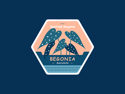 Spotted Begonia badge badge design begonia comic sans kps3100 maculata plant plant illustration spotted begonia