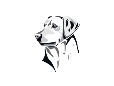 Labrador chien dog lab labrador