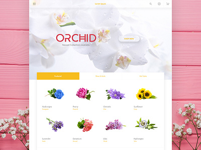 Plant Store ecommerce ui ui design user interface web web design