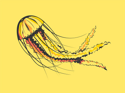 A Jellyfish animal creature illustration jellyfish yellow