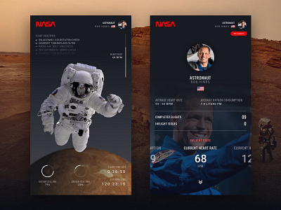 NASA Astronaut Flight time UI icon logo mars nasa space spacex ui ux web website