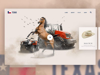 Texas Desktop clean commerce cowboy icon logo marketing texas ui ux web website